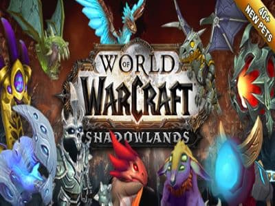 World of Warcraft Pet Satışlarımız Başladı! Pet Yetenekleri Ve Özellikleri