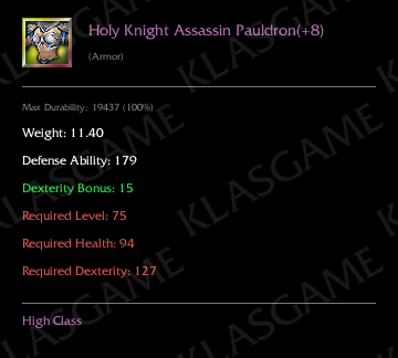 Holy Knight Assassin Pauldron(+8)