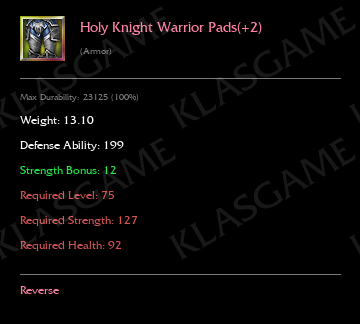 Holy Knight Warrior Pads(+2) ( +4 eşya )