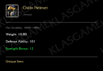 Chitin Helmet